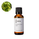 【10%OFFセール】コニャックグリーン・エッセンシャルオイル33%/30ml 100% ピュア 天然 植物 無添加 精油 アロマ 人気 香水 オイル アルコール系 ブランデー ワインリースオイル 手作り コスメ 化粧品 手づくり 石鹸 石けん 原料 材料 素材 おすすめ