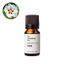 【10%OFFセール】ラブダナム・アブソリュート・野生種/10ml 100% 植物性 フレグランス 香り 精油 アロマ 手づくり 手作り コスメ 化粧品 石鹸 石けん 原料 材料 素材
