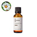 【10%OFFセール】ラブダナム・アブソリュート・野生種/30ml 100% 植物性 フレグランス 香り 精油 アロマ 手づくり 手作り コスメ 化粧品 石鹸 石けん 原料 材料 素材