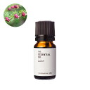 【10%OFFセール】ラーチ・エッセンシャルオイル(タマラック)/10ml 100% ピュア 天然 植物 無添加 精油 アロマ 人気 香水 オイル ウッディ 手作り コスメ 化粧品 手づくり 石鹸 石けん 原料 材料 素材 おすすめ カラマツ