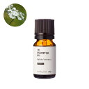 【10%OFFセール】ホワイトバーベナ・エッセンシャルオイル・オーガニック/10ml(有機栽培・Organic) 100% ピュア 天然 植物 無添加 精油 アロマ オイル 香水 オーデコロン ルームスプレー ルームディフューザー