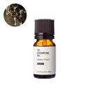 【P10倍】マスティックレジン・エッセンシャルオイル・オーガニック/10ml(・有機栽培・・Organic) 100% ピュア 天然 植物 無添加 精油 アロマ オイル 香水 オーデコロン ルームスプレー ルームディフューザー