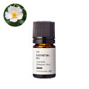 カメリアブロッサム・アブソリュート・オーガニック/2ml(有機栽培・Organic) 100% ピュア 天然 植物 無添加 精油 アロマ オイル 香水 オーデコロン ルームスプレー ルームディフューザー