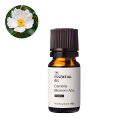 【10%OFFセール】カメリアブロッサム・アブソリュート・オーガニック/10ml(有機栽培・Organic) 100% ピュア 天然 植物 無添加 精油 アロマ オイル 香水 オーデコロン ルームスプレー ルームディフューザー