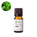 【P10倍】ベルガモットミント・エッセンシャルオイル・オーガニック/10ml(有機栽培・Organic) 100% ピュア 天然 植物 無添加 精油 アロマ オイル 香水 オーデコロン ルームスプレー ルームディフューザー