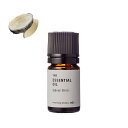 シルバーバーチ・エッセンシャルオイル/1ml 100% ピュア 天然 植物 無添加 精油 アロマ オイル 香水 オーデコロン ルームスプレー ルームディフューザ...