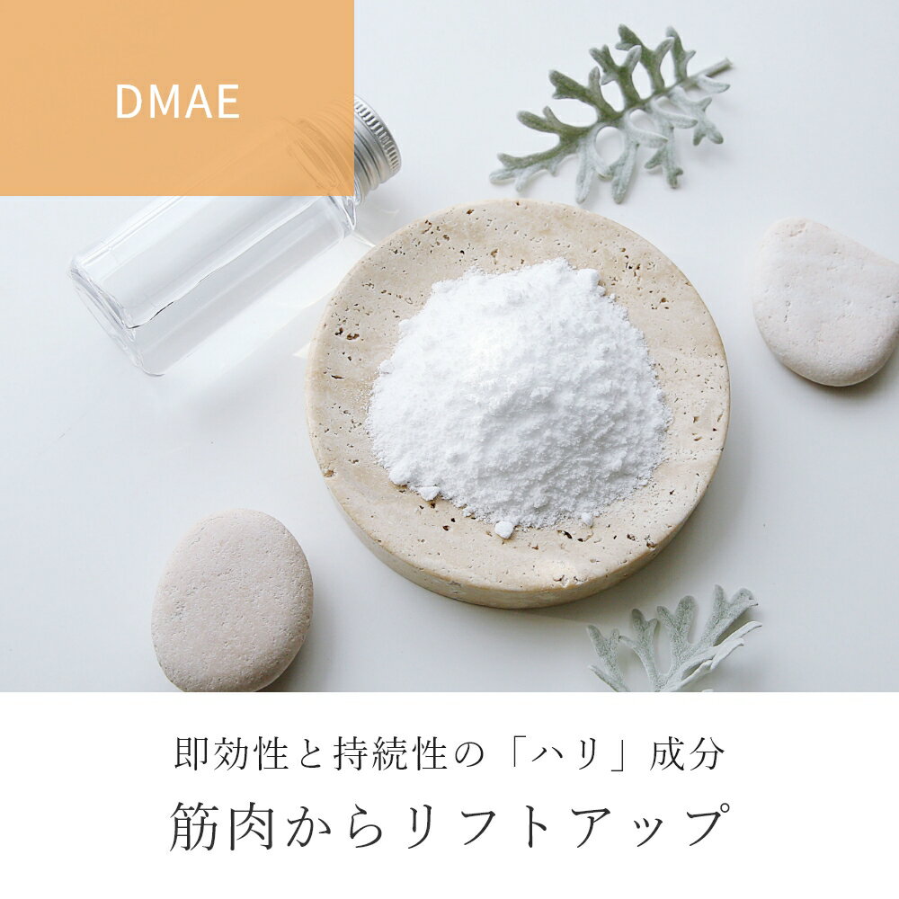 【今だけP10倍】DMAE/10g エイジング...の紹介画像3