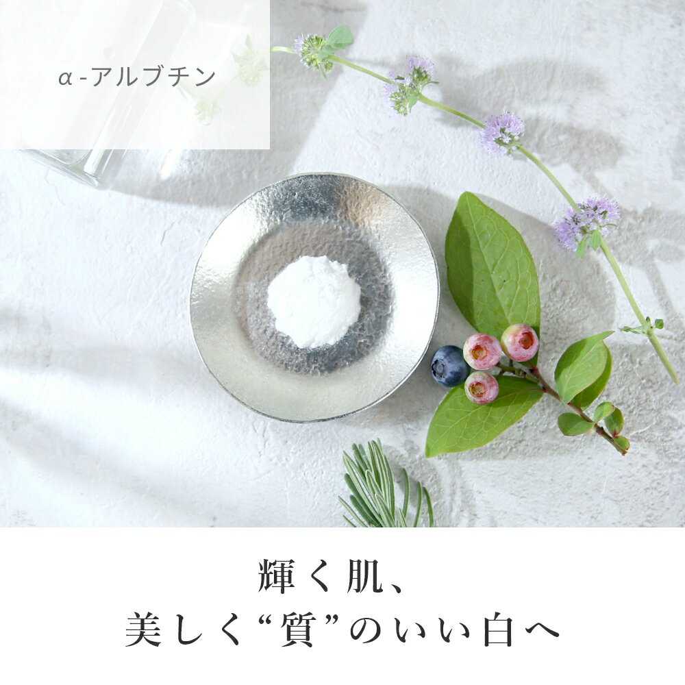 【全品P10倍】α-アルブチン／10g 敏感肌 植物性 透明感 くすみ 黒点 化粧水 ローション セラム 美容液 無添加 パウダー 原液 手作り コスメ 化粧品 化粧品原料 材料 フェイス ボディ スキンケア 敏感肌