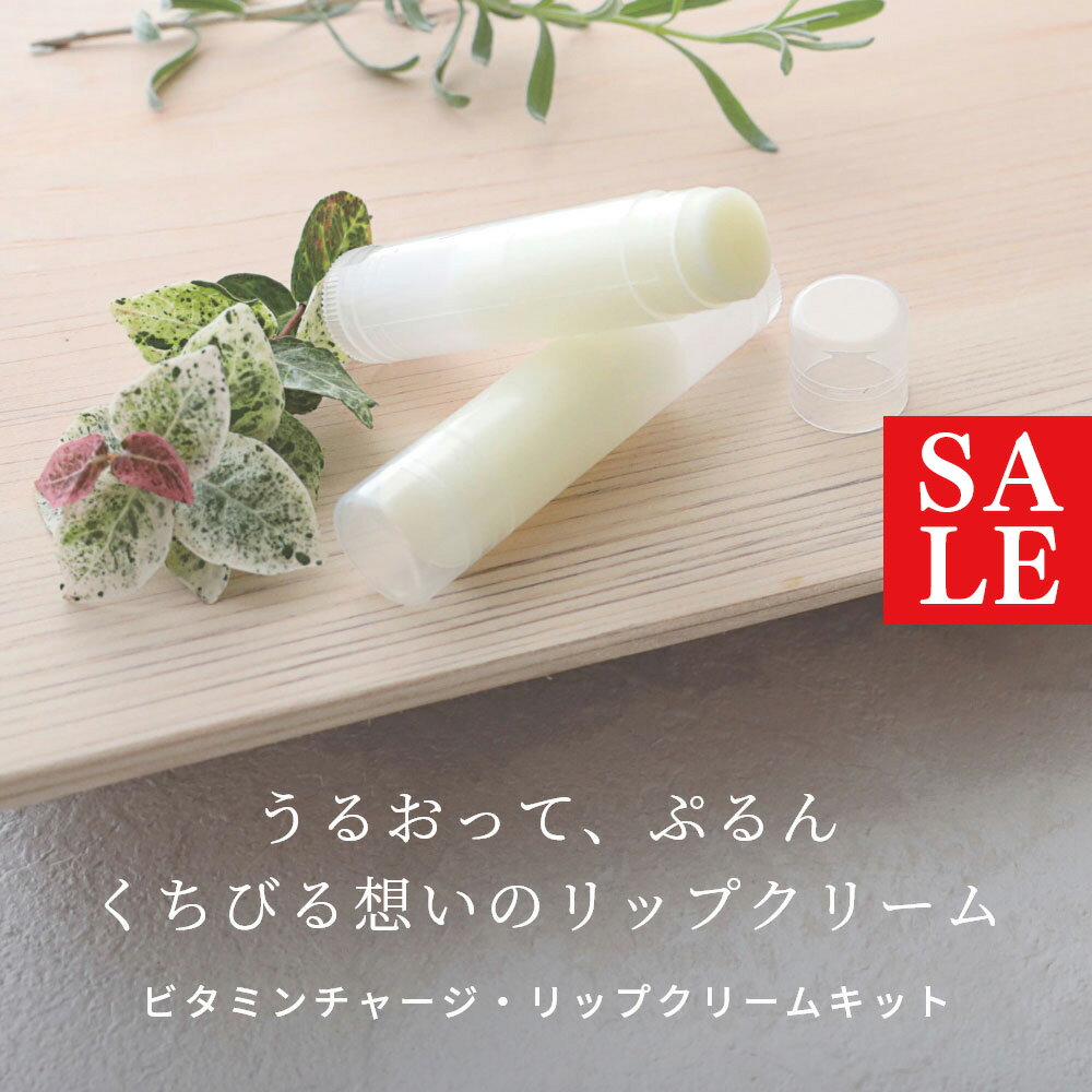 [10% OFF 세일] 비타민 충전 · 립 크림 키트 / 1 개 초보자 용 비타민 C 유도체 아르간 오일 수제 화장품 수제 화장품 원료 재료 소재 페이스 스킨 케어 유액 초보자 용 자연 화장품