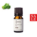 【20%OFFセール】スピナッチリーフ・アブソリュート・野生種(ホウレンソウ)/10ml 100% 植物性 フレグランス 香り 精油 アロマ 手づくり 手作り ...