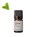パチュリ・エッセンシャルオイル/1ml【100% 無添加 植物性 天然 精油 アロマ お試し トライアル テスター ミニボトル】