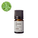 ジンジャーグラス・エッセンシャルオイル・野生種/1ml【100% 無添加 植物性 天然 精油 アロマ お試し トライアル テスター ミニボトル】