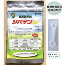 シバゲンDF 100g(約2g約5g計量のスプーンサービス中)