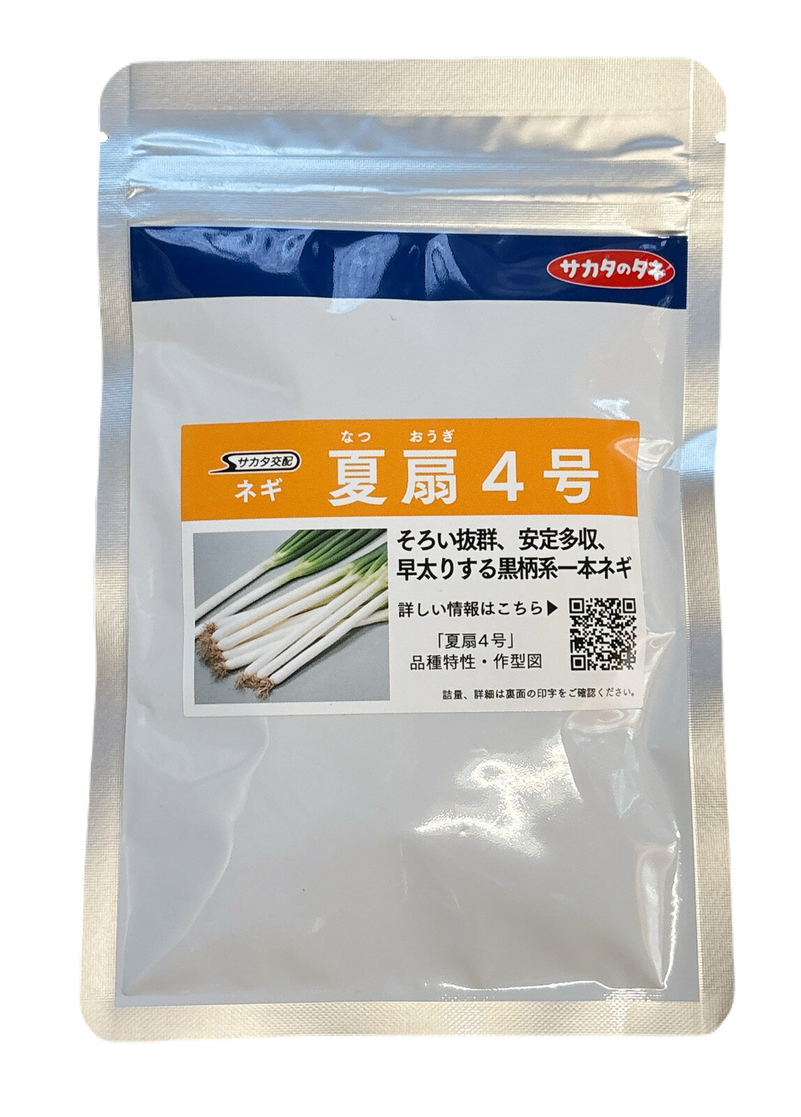 夏扇4号　1dl　ねぎ　種子