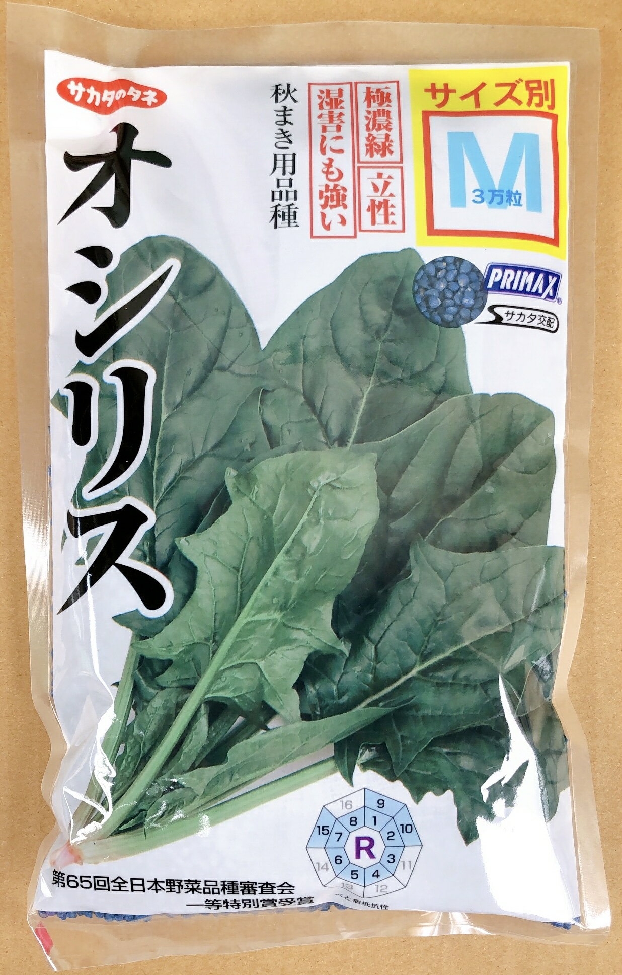 オシリス　ほうれん草　Mサイズ　3万粒　種