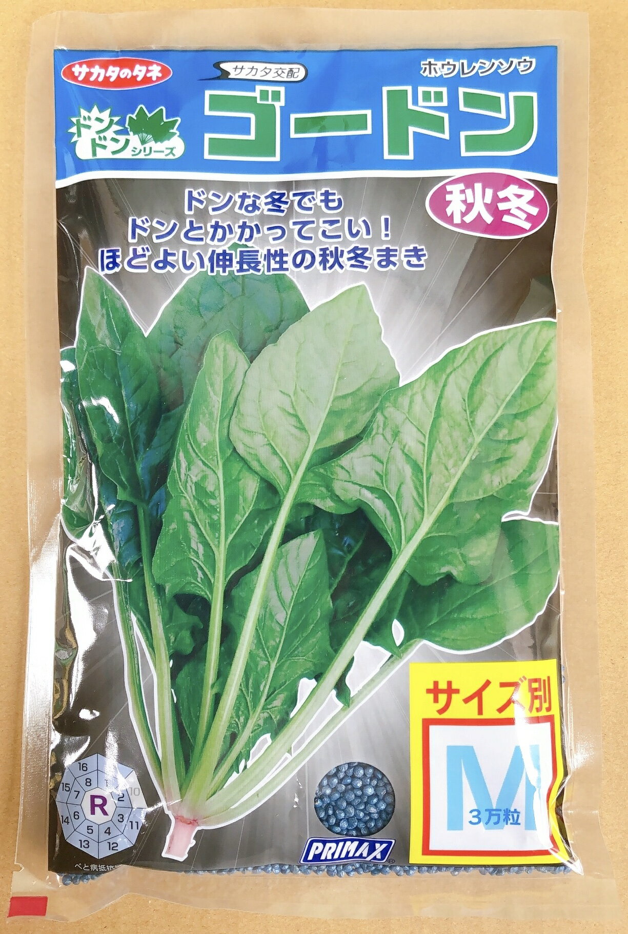 ゴードン　ほうれん草　Mサイズ　3万粒　種