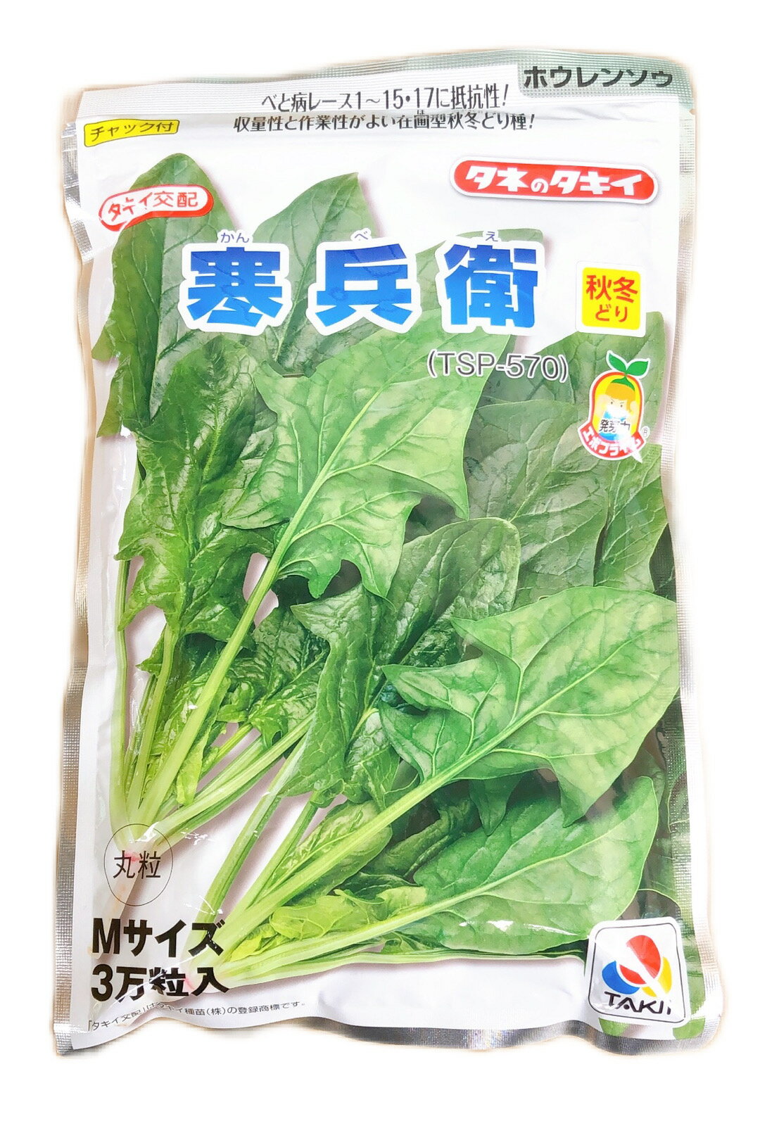 寒兵衛　ほうれん草　Mサイズ　3万粒　種