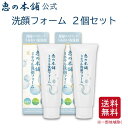 【20％OFF】 洗顔料 日本製 くちゃ 恵の本舗ミネラル洗顔フォーム 2個セット (100g×2) 海シルト 海泥 温泉水 洗顔せっけん 毛穴ケア 美肌菌 泥洗顔 クレイ洗顔 洗浄力 透明感 乾燥肌 つっぱらない 濃密泡 【 送料無料 】