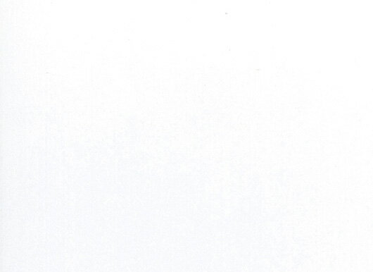 日本デコラックス パニートスリムキッチンパネル(バスルーム・サニタリー・トイレスペース兼用)FX-899G スノーホワイト サイズ3mm×910mm×1820mm (3×6)