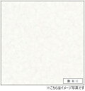アイカ キッチンパネル セラール FAN1966ZMN 壁面用 鏡面仕上げ ●3×8サイズ(935×2455×3mm)【2枚以上ご注文頂く場合の1枚単価です】