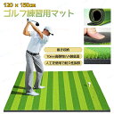 ゴルフ練習用マット 練習マット ゴルフマット 120×150cm ショット用マット 人工芝 ゴムティー穴6個付き 10mmEVA底面 ショット スイング ドライ...