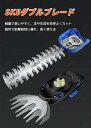 mnrtepo21:10001846のサンプル画像2
