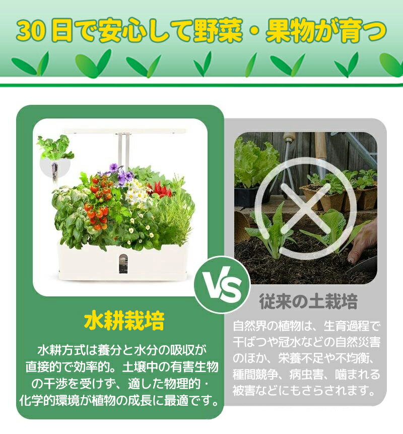 水耕栽培キット すいこう栽培キット 水耕栽培 キット 土を使わず自宅で栽培 栽培キ...