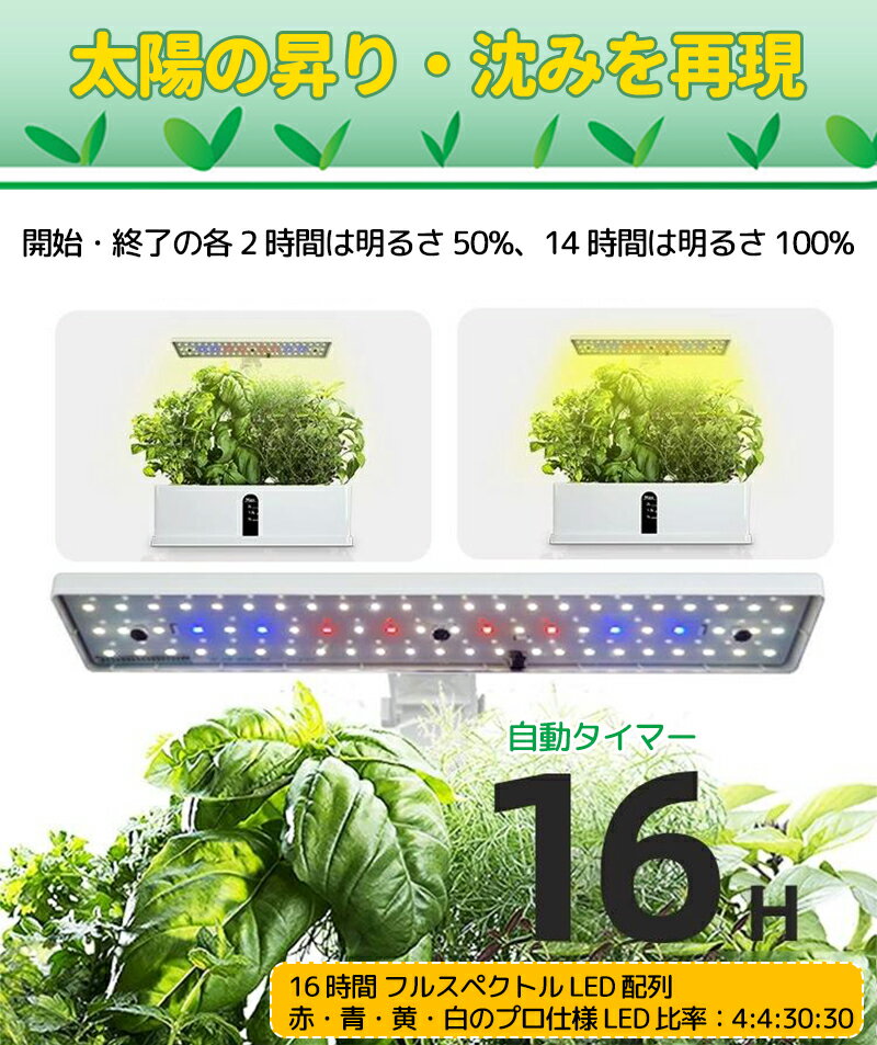 水耕栽培キット すいこう栽培キット 水耕栽培 キット 土を使わず自宅で栽培 栽培キ...