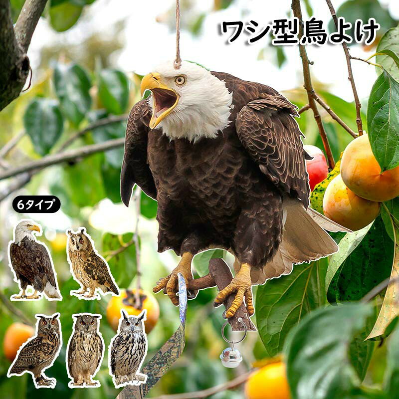 鳥よけ ワシ型鳥よけ フクロウ型鳥よけ 鳥よけフクロウ 鳥避けグッズ 鈴付き 鳥よけ 防鳥防獣対策 鳩よけ ベランダ鳥よけ 果樹園 農作物被害 ツバメよけ 庭飾り 携帯に便利 防水 家庭菜園用 撃退 カラス