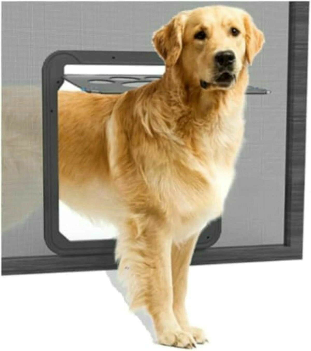網戸ドア 網戸専用 犬猫出入り口 ペットドア 網戸ペット (中，大型犬用)犬用扉 開閉自由 ロック機能付き 取付簡単37cm x 42cm