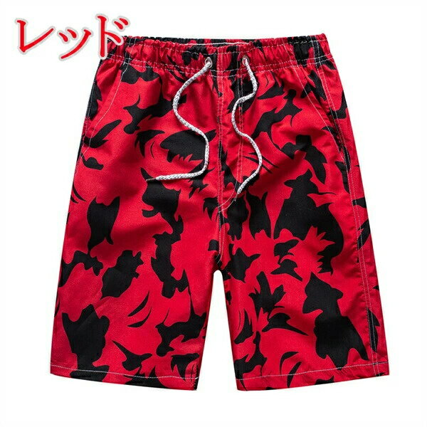 ȥ  Φξ ס ϡեѥ ѥ   ѥ  ӥå 礭 ѥ ι   ꥾ ι ...