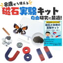 小学生 理科実験セット 自由研究に最適 自由研究おたすけキット 夏休み 小学生 低学年 中学年 男の子 磁石と砂鉄の実験キット 親子で実験 科学実験 簡単 棒磁石 U字磁石 磁石棒 夏休みの自由研究 自由研究 おすすめ