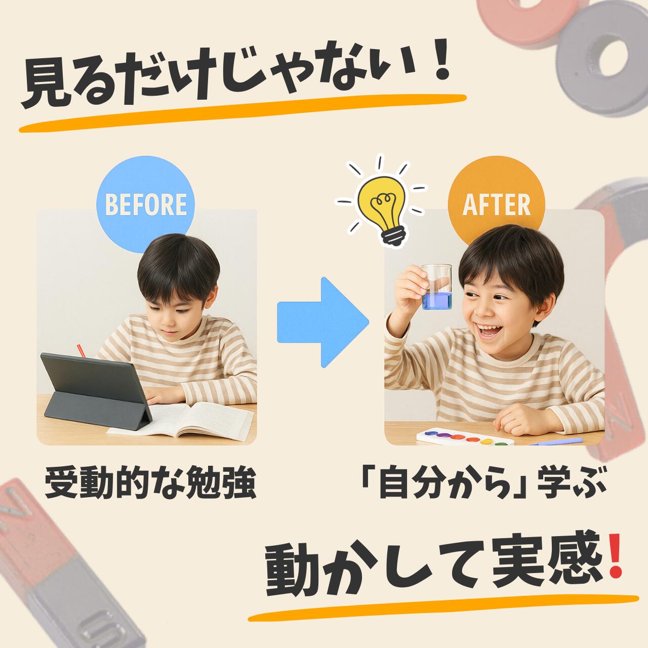 【LINE5%OFFクーポン】小学生 理科実験...の紹介画像3
