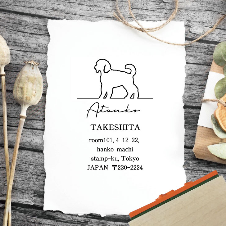 �� �����ѡ�SALE��� P5�� �� ������� �� �ߥ˥��奢�ס��ɥ� �� ���ɥ쥹������� ��̾�� ������ �Ϥ� Ƚ�� ���������ᥤ�� ���ɥ쥹 ����� ��...