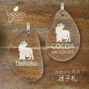 迷子札 【 土佐犬 】 ビーンズ グラス ペット グッズ アンブレラマーカー 名前 極小 ネームプレート 名札 おしゃれ かわいい プレゼント 軽量 ネームタグ...