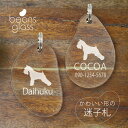 迷子札 【 ミニチュアシュナウザー 】 ビーンズ グラス ペット グッズ アンブレラマーカー 名前 極小 ネームプレート 名札 おしゃれ かわいい プレゼント ...