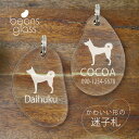 迷子札 【 琉球犬 】 ビーンズ グラス ペット グッズ アンブレラマーカー 名前 極小 ネームプレート 名札 おしゃれ かわいい プレゼント 軽量 ネームタグ...
