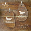 迷子札 【 ミニチュアダックスフンド ロングコート 】 ビーンズ グラス ペット グッズ アンブレラマーカー 名前 極小 ネームプレート 名札 おしゃれ かわい...