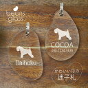 迷子札 【 アイリッシュソフトコーテッドウィートンテリア 】 ビーンズ グラス ペット グッズ アンブレラマーカー 名前 極小 ネームプレート 名札 おしゃれ ...