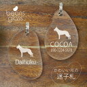 迷子札 【 オーストラリアンケルピー 】 ビーンズ グラス ペット グッズ アンブレラマーカー 名前 極小 ネームプレート 名札 おしゃれ かわいい プレゼント...