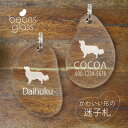 迷子札 【 コーイケルホンディエ 】 ビーンズ グラス ペット グッズ アンブレラマーカー 名前 極小 ネームプレート 名札 おしゃれ かわいい プレゼント 軽...