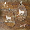 迷子札 【 ビアデッドコリー 】 ビーンズ グラス ペット グッズ アンブレラマーカー 名前 極小 ネームプレート 名札 おしゃれ かわいい プレゼント 軽量 ...