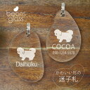 迷子札 【 ペキプー 】 ビーンズ グラス ペット グッズ アンブレラマーカー 名前 極小 ネームプレート 名札 おしゃれ かわいい プレゼント 軽量 ネームタ...