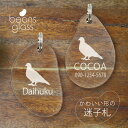 迷子札 【 ハト 】 ビーンズ グラス ペット グッズ アンブレラマーカー 名前 極小 ネームプレート 名札 おしゃれ かわいい プレゼント 軽量 ネームタグ ...