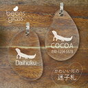 迷子札 【 ニシアフリカトカゲモドキ 】 ビーンズ グラス ペット グッズ アンブレラマーカー 名前 極小 ネームプレート 名札 おしゃれ かわいい プレゼント...