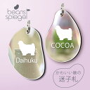 迷子札 【 チベタンテリア 】 ビーンズ シュピーゲル ミラー 鏡 ペット アクリル アンブレラマーカー 名前 極小 猫用 犬用 ネームプレート 名札 おしゃれ...