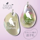 迷子札 【 ハリスホーク 】 ビーンズ シュピーゲル ミラー 鏡 ペット アンブレラマーカー 名前 極小 ネームプレート 名札 おしゃれ かわいい シルエット ...
