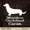 車 ステッカー 【 ミニチュアダックスフンド 】L ペット カー ペットステッカー かわいい シンプル カッティングシート グッズ 屋外 おしゃれ オーダー 名...