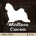 車 ステッカー 【 マルチーズ 】L ペット カー ペットステッカー かわいい シンプル カッティングシート グッズ 屋外 おしゃれ オーダー 名前 シール 可...