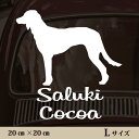 【送料無料】 車 ステッカー 【 サルーキ 】Lサイズ ペット カー ペットステッカー かわいい シンプル カッティングシート グッズ 屋外 おしゃれ オーダー 名前 シール 可愛い 転写式 犬